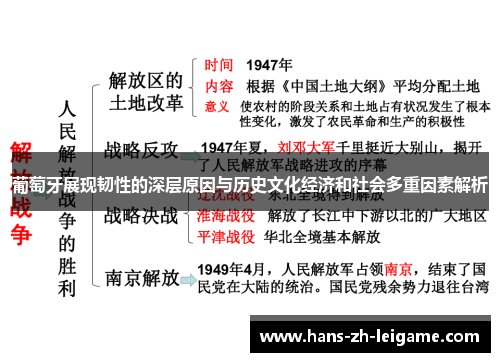 葡萄牙展现韧性的深层原因与历史文化经济和社会多重因素解析