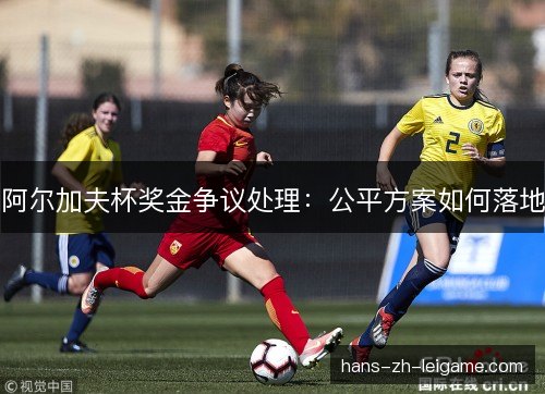 阿尔加夫杯奖金争议处理：公平方案如何落地
